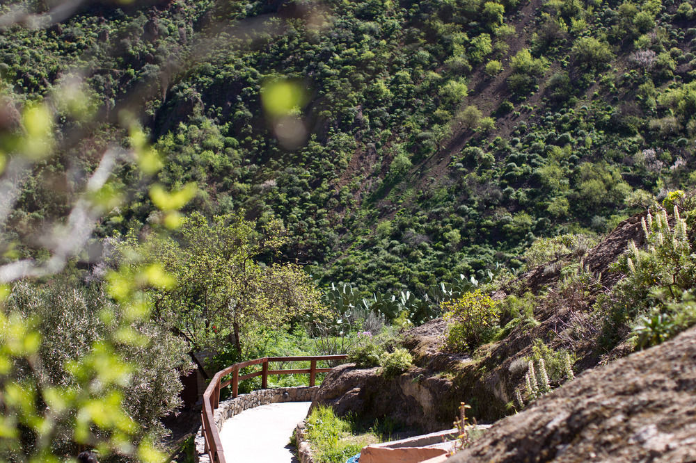 Casas Rurales De Guayadeque Ingenio Buitenkant foto
